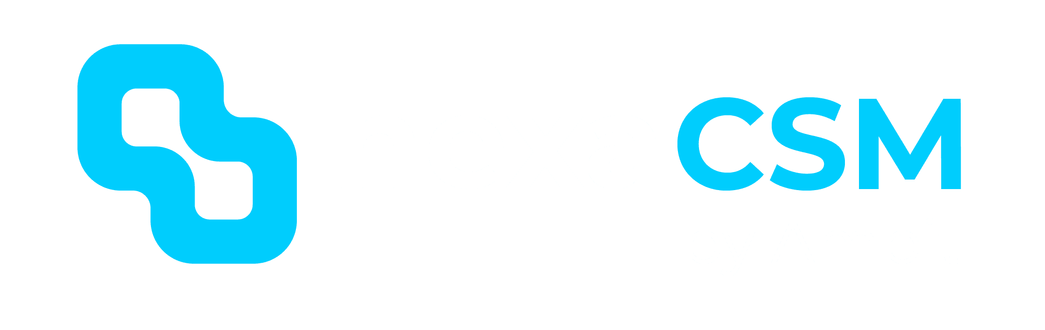 nexacsm-logo